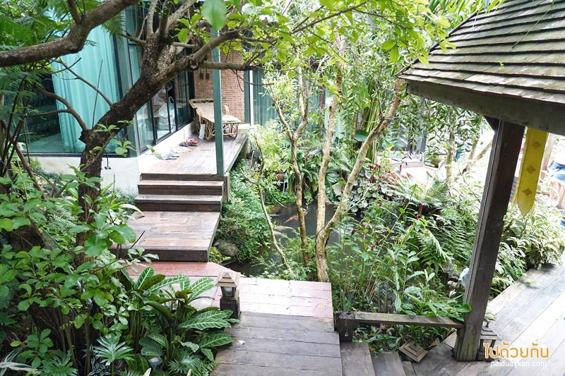 บ้านปางไฮ, ร้านกาแฟบ้านปางไฮ, โฃชิลล์ coffee, คาเฟ่บ้านปางไฮ, โซชิลล์ coffee  คาเฟ่ริมน้ำตกในบ้านปางไฮ