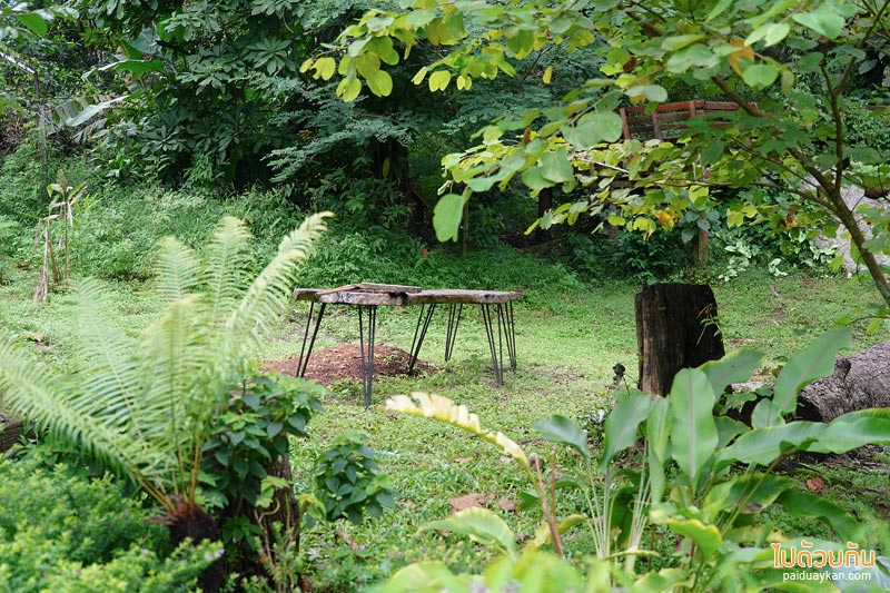 บ้านปางไฮ, ร้านกาแฟบ้านปางไฮ, โฃชิลล์ coffee, คาเฟ่บ้านปางไฮ, โซชิลล์ coffee  คาเฟ่ริมน้ำตกในบ้านปางไฮ