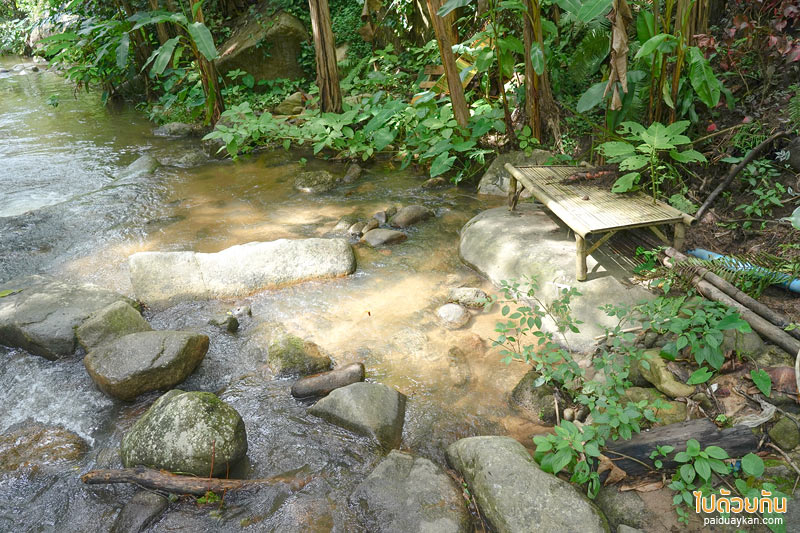 บ้านปางไฮ, ร้านกาแฟบ้านปางไฮ, โฃชิลล์ coffee, คาเฟ่บ้านปางไฮ, โซชิลล์ coffee  คาเฟ่ริมน้ำตกในบ้านปางไฮ