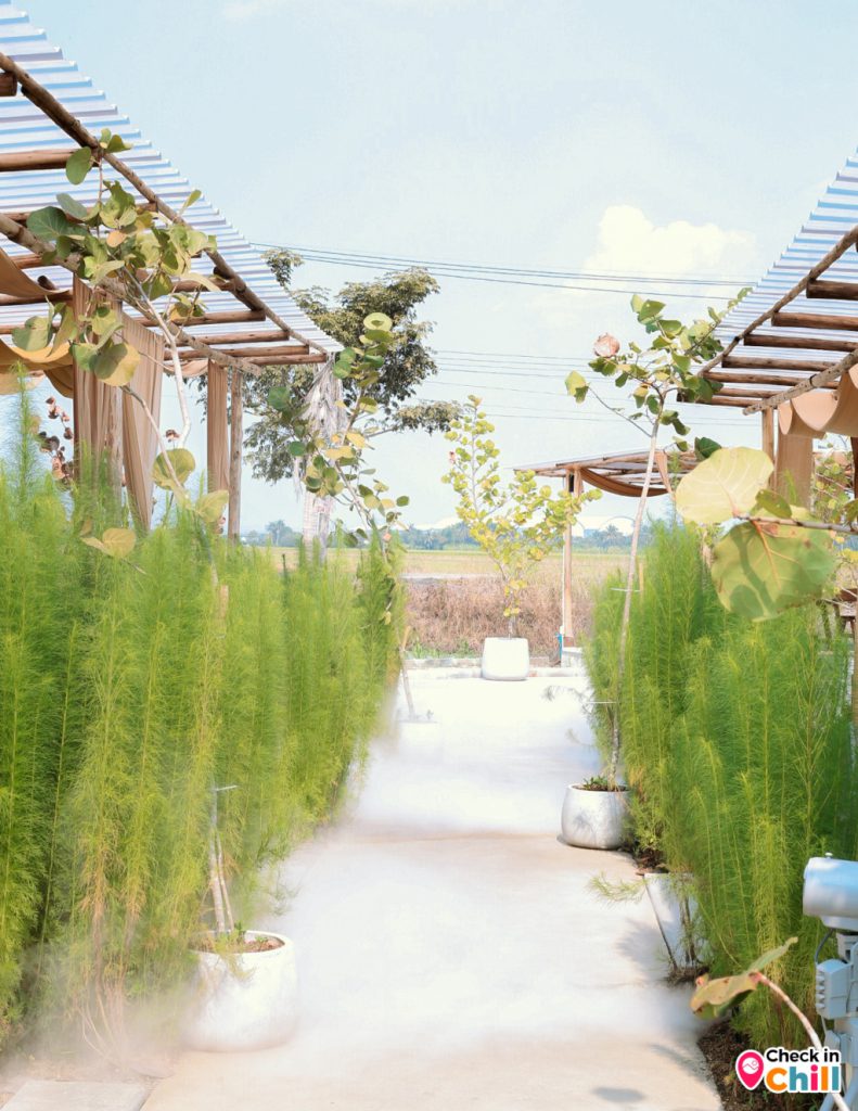 lamer cafe, lamer homecraft, lamer homecraft cafe, คาเฟ่, คาเฟ่ ทุ่งนา, คาเฟ่ ปทุมธานี, คาเฟ่ชานเมือง, คาเฟ่เปิดใหม่, คาเฟ่เปิดใหม่ ปทุมธานี, คาเฟ่ใกล้กรุงเทพ, คาเฟ่ใกล้ฉัน, ละเมอ คาเฟ่, ละเมอ คาเฟ่ ปทุมธานี, ละเมอร์ คาเฟ่, ละเมอร์ โฮมคราฟท์, รีวิว ร้าน lamer homecraft cafe เปิดใหม่ปทุมธานี สไตล์โมเดิร์นโฮมมี่ ท่ามกลางวิวทุ่งนา