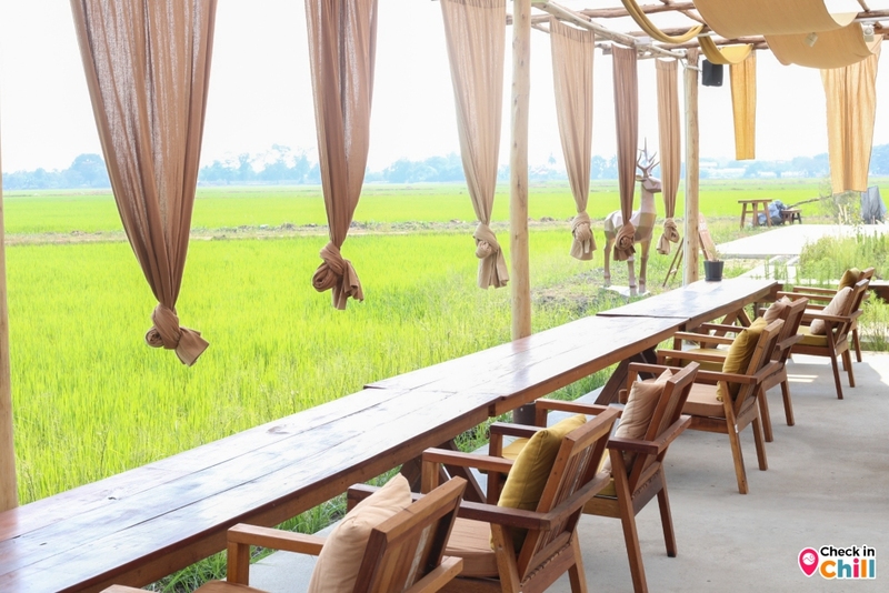 lamer cafe, lamer homecraft, lamer homecraft cafe, คาเฟ่, คาเฟ่ ทุ่งนา, คาเฟ่ ปทุมธานี, คาเฟ่ชานเมือง, คาเฟ่เปิดใหม่, คาเฟ่เปิดใหม่ ปทุมธานี, คาเฟ่ใกล้กรุงเทพ, คาเฟ่ใกล้ฉัน, ละเมอ คาเฟ่, ละเมอ คาเฟ่ ปทุมธานี, ละเมอร์ คาเฟ่, ละเมอร์ โฮมคราฟท์, รีวิว ร้าน lamer homecraft cafe เปิดใหม่ปทุมธานี สไตล์โมเดิร์นโฮมมี่ ท่ามกลางวิวทุ่งนา