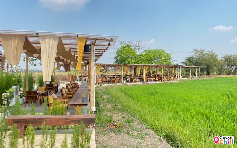 lamer cafe, lamer homecraft, lamer homecraft cafe, คาเฟ่, คาเฟ่ ทุ่งนา, คาเฟ่ ปทุมธานี, คาเฟ่ชานเมือง, คาเฟ่เปิดใหม่, คาเฟ่เปิดใหม่ ปทุมธานี, คาเฟ่ใกล้กรุงเทพ, คาเฟ่ใกล้ฉัน, ละเมอ คาเฟ่, ละเมอ คาเฟ่ ปทุมธานี, ละเมอร์ คาเฟ่, ละเมอร์ โฮมคราฟท์, รีวิว ร้าน lamer homecraft cafe เปิดใหม่ปทุมธานี สไตล์โมเดิร์นโฮมมี่ ท่ามกลางวิวทุ่งนา