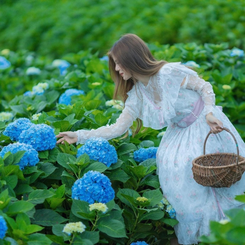 akha farmville, choui fong, singha park, กาดเจียงฮายรำลึก, ขุนน้ำนางนอน, คอฟฟี่ฮิลล์, จุดชมวิวดอยช้างมูบ, ช่องเขาขาด, ฐานปฏิบัติการดอยช้างมูบ, ดอยผาตั้ง, ดอยผาหมี, ดอยแม่สลอง, ตลาดแม่สาย, ตุงหลวงเฉลิมพระเกียรติ, ถนนคนเดินเชียงราย, ถ้ำหลวง ขุนน้ำนางนอน, ที่เที่ยวเชียงราย, ที่เที่ยวเชียงราย 2023, ที่เที่ยวเชียงราย 2566, ที่เที่ยวเชียงราย ธรรมชาติ, ที่เที่ยวเชียงราย ในเมือง, ที่เที่ยวเชียงรายใกล้ฉัน, ผาฮี้, พระธาตุดอยแม่ย่าม่อน, พระอุโบสถสีน้ำเงิน, พระโพธิสัตว์กวนอิมใหญ่ที่สุดในไทย, พิพิธภัณฑ์บ้านดำ, ฟาร์มแกะ ดอยช้าง, ภูชี้ดาว, ภูชี้ฟ้า, วัดป่าญะ, วัดพระธาตุดอยตุง, วัดพระธาตุแม่ย่าม่อน, วัดร่องขุ่น, วัดร่องเสือเต้น, วัดห้วยปลากั้ง, สวนคุณปู่ life museum, สวนคุณปู่ เชียงราย, สะพานไม้ไผ่ไร่ผาฮี้, สามเหลี่ยมทองคำ, สิงห์ปาร์ค, หมู่บ้านกะเหรี่ยงคอยาว, หมู่บ้านชาวเขากะเหรี่ยงคอยาว, หมู่บ้านสันติคีรี, อนุสาวรีย์พ่อขุนเม็งรายมหาราช, อาข่า ฟาร์ม, เชียงราย, เชียงราย 2023, เชียงราย 2566, เชียงรายไนท์บาซาร์, เที่ยวเชียงราย, โชคธรรมเจดีย์ 9 ชั้น, ไร่ชาฉุยฟง, ไฮเดรนเยีย ดอยแม่มอญ, ไฮเดรนเยียซัง, top 25+ ที่เที่ยวเชียงราย [กรกฎาคม 2024] ไหว้พระ ชมธรรมชาติ สัมผัสวิถีชีวิตชาวเขา ที่ดินแดนเหนือสุดประเทศไทย