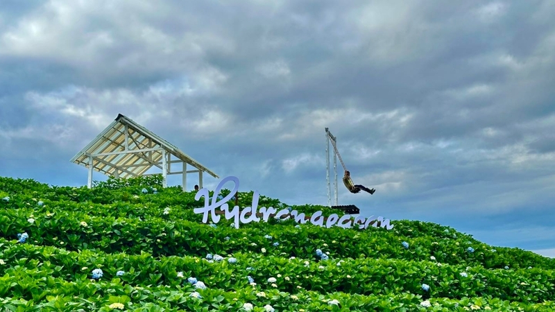 akha farmville, choui fong, singha park, กาดเจียงฮายรำลึก, ขุนน้ำนางนอน, คอฟฟี่ฮิลล์, จุดชมวิวดอยช้างมูบ, ช่องเขาขาด, ฐานปฏิบัติการดอยช้างมูบ, ดอยผาตั้ง, ดอยผาหมี, ดอยแม่สลอง, ตลาดแม่สาย, ตุงหลวงเฉลิมพระเกียรติ, ถนนคนเดินเชียงราย, ถ้ำหลวง ขุนน้ำนางนอน, ที่เที่ยวเชียงราย, ที่เที่ยวเชียงราย 2023, ที่เที่ยวเชียงราย 2566, ที่เที่ยวเชียงราย ธรรมชาติ, ที่เที่ยวเชียงราย ในเมือง, ที่เที่ยวเชียงรายใกล้ฉัน, ผาฮี้, พระธาตุดอยแม่ย่าม่อน, พระอุโบสถสีน้ำเงิน, พระโพธิสัตว์กวนอิมใหญ่ที่สุดในไทย, พิพิธภัณฑ์บ้านดำ, ฟาร์มแกะ ดอยช้าง, ภูชี้ดาว, ภูชี้ฟ้า, วัดป่าญะ, วัดพระธาตุดอยตุง, วัดพระธาตุแม่ย่าม่อน, วัดร่องขุ่น, วัดร่องเสือเต้น, วัดห้วยปลากั้ง, สวนคุณปู่ life museum, สวนคุณปู่ เชียงราย, สะพานไม้ไผ่ไร่ผาฮี้, สามเหลี่ยมทองคำ, สิงห์ปาร์ค, หมู่บ้านกะเหรี่ยงคอยาว, หมู่บ้านชาวเขากะเหรี่ยงคอยาว, หมู่บ้านสันติคีรี, อนุสาวรีย์พ่อขุนเม็งรายมหาราช, อาข่า ฟาร์ม, เชียงราย, เชียงราย 2023, เชียงราย 2566, เชียงรายไนท์บาซาร์, เที่ยวเชียงราย, โชคธรรมเจดีย์ 9 ชั้น, ไร่ชาฉุยฟง, ไฮเดรนเยีย ดอยแม่มอญ, ไฮเดรนเยียซัง, top 25+ ที่เที่ยวเชียงราย [กรกฎาคม 2024] ไหว้พระ ชมธรรมชาติ สัมผัสวิถีชีวิตชาวเขา ที่ดินแดนเหนือสุดประเทศไทย