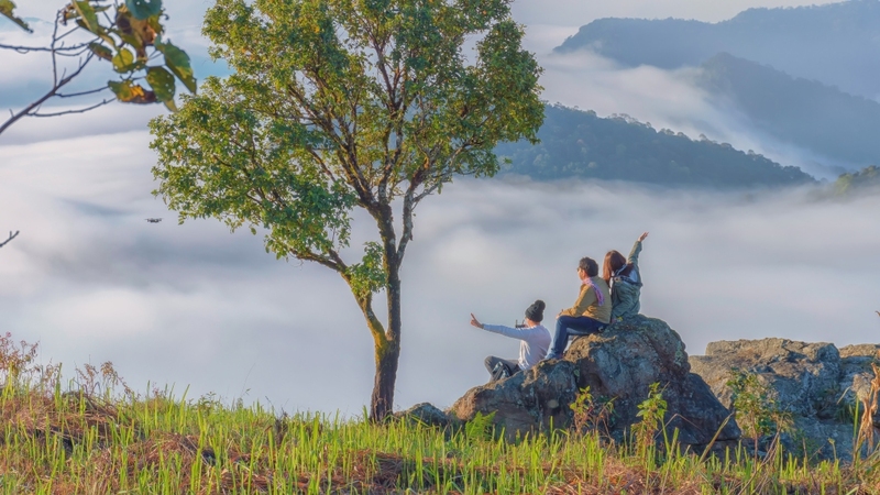 akha farmville, choui fong, singha park, กาดเจียงฮายรำลึก, ขุนน้ำนางนอน, คอฟฟี่ฮิลล์, จุดชมวิวดอยช้างมูบ, ช่องเขาขาด, ฐานปฏิบัติการดอยช้างมูบ, ดอยผาตั้ง, ดอยผาหมี, ดอยแม่สลอง, ตลาดแม่สาย, ตุงหลวงเฉลิมพระเกียรติ, ถนนคนเดินเชียงราย, ถ้ำหลวง ขุนน้ำนางนอน, ที่เที่ยวเชียงราย, ที่เที่ยวเชียงราย 2023, ที่เที่ยวเชียงราย 2566, ที่เที่ยวเชียงราย ธรรมชาติ, ที่เที่ยวเชียงราย ในเมือง, ที่เที่ยวเชียงรายใกล้ฉัน, ผาฮี้, พระธาตุดอยแม่ย่าม่อน, พระอุโบสถสีน้ำเงิน, พระโพธิสัตว์กวนอิมใหญ่ที่สุดในไทย, พิพิธภัณฑ์บ้านดำ, ฟาร์มแกะ ดอยช้าง, ภูชี้ดาว, ภูชี้ฟ้า, วัดป่าญะ, วัดพระธาตุดอยตุง, วัดพระธาตุแม่ย่าม่อน, วัดร่องขุ่น, วัดร่องเสือเต้น, วัดห้วยปลากั้ง, สวนคุณปู่ life museum, สวนคุณปู่ เชียงราย, สะพานไม้ไผ่ไร่ผาฮี้, สามเหลี่ยมทองคำ, สิงห์ปาร์ค, หมู่บ้านกะเหรี่ยงคอยาว, หมู่บ้านชาวเขากะเหรี่ยงคอยาว, หมู่บ้านสันติคีรี, อนุสาวรีย์พ่อขุนเม็งรายมหาราช, อาข่า ฟาร์ม, เชียงราย, เชียงราย 2023, เชียงราย 2566, เชียงรายไนท์บาซาร์, เที่ยวเชียงราย, โชคธรรมเจดีย์ 9 ชั้น, ไร่ชาฉุยฟง, ไฮเดรนเยีย ดอยแม่มอญ, ไฮเดรนเยียซัง, top 25+ ที่เที่ยวเชียงราย [กรกฎาคม 2024] ไหว้พระ ชมธรรมชาติ สัมผัสวิถีชีวิตชาวเขา ที่ดินแดนเหนือสุดประเทศไทย