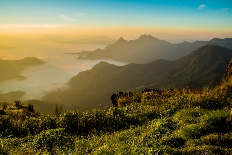 akha farmville, choui fong, singha park, กาดเจียงฮายรำลึก, ขุนน้ำนางนอน, คอฟฟี่ฮิลล์, จุดชมวิวดอยช้างมูบ, ช่องเขาขาด, ฐานปฏิบัติการดอยช้างมูบ, ดอยผาตั้ง, ดอยผาหมี, ดอยแม่สลอง, ตลาดแม่สาย, ตุงหลวงเฉลิมพระเกียรติ, ถนนคนเดินเชียงราย, ถ้ำหลวง ขุนน้ำนางนอน, ที่เที่ยวเชียงราย, ที่เที่ยวเชียงราย 2023, ที่เที่ยวเชียงราย 2566, ที่เที่ยวเชียงราย ธรรมชาติ, ที่เที่ยวเชียงราย ในเมือง, ที่เที่ยวเชียงรายใกล้ฉัน, ผาฮี้, พระธาตุดอยแม่ย่าม่อน, พระอุโบสถสีน้ำเงิน, พระโพธิสัตว์กวนอิมใหญ่ที่สุดในไทย, พิพิธภัณฑ์บ้านดำ, ฟาร์มแกะ ดอยช้าง, ภูชี้ดาว, ภูชี้ฟ้า, วัดป่าญะ, วัดพระธาตุดอยตุง, วัดพระธาตุแม่ย่าม่อน, วัดร่องขุ่น, วัดร่องเสือเต้น, วัดห้วยปลากั้ง, สวนคุณปู่ life museum, สวนคุณปู่ เชียงราย, สะพานไม้ไผ่ไร่ผาฮี้, สามเหลี่ยมทองคำ, สิงห์ปาร์ค, หมู่บ้านกะเหรี่ยงคอยาว, หมู่บ้านชาวเขากะเหรี่ยงคอยาว, หมู่บ้านสันติคีรี, อนุสาวรีย์พ่อขุนเม็งรายมหาราช, อาข่า ฟาร์ม, เชียงราย, เชียงราย 2023, เชียงราย 2566, เชียงรายไนท์บาซาร์, เที่ยวเชียงราย, โชคธรรมเจดีย์ 9 ชั้น, ไร่ชาฉุยฟง, ไฮเดรนเยีย ดอยแม่มอญ, ไฮเดรนเยียซัง, top 25+ ที่เที่ยวเชียงราย [กรกฎาคม 2024] ไหว้พระ ชมธรรมชาติ สัมผัสวิถีชีวิตชาวเขา ที่ดินแดนเหนือสุดประเทศไทย