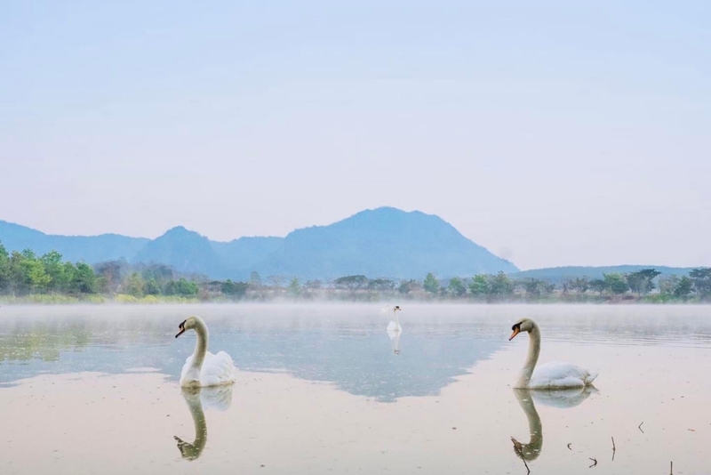 akha farmville, choui fong, singha park, กาดเจียงฮายรำลึก, ขุนน้ำนางนอน, คอฟฟี่ฮิลล์, จุดชมวิวดอยช้างมูบ, ช่องเขาขาด, ฐานปฏิบัติการดอยช้างมูบ, ดอยผาตั้ง, ดอยผาหมี, ดอยแม่สลอง, ตลาดแม่สาย, ตุงหลวงเฉลิมพระเกียรติ, ถนนคนเดินเชียงราย, ถ้ำหลวง ขุนน้ำนางนอน, ที่เที่ยวเชียงราย, ที่เที่ยวเชียงราย 2023, ที่เที่ยวเชียงราย 2566, ที่เที่ยวเชียงราย ธรรมชาติ, ที่เที่ยวเชียงราย ในเมือง, ที่เที่ยวเชียงรายใกล้ฉัน, ผาฮี้, พระธาตุดอยแม่ย่าม่อน, พระอุโบสถสีน้ำเงิน, พระโพธิสัตว์กวนอิมใหญ่ที่สุดในไทย, พิพิธภัณฑ์บ้านดำ, ฟาร์มแกะ ดอยช้าง, ภูชี้ดาว, ภูชี้ฟ้า, วัดป่าญะ, วัดพระธาตุดอยตุง, วัดพระธาตุแม่ย่าม่อน, วัดร่องขุ่น, วัดร่องเสือเต้น, วัดห้วยปลากั้ง, สวนคุณปู่ life museum, สวนคุณปู่ เชียงราย, สะพานไม้ไผ่ไร่ผาฮี้, สามเหลี่ยมทองคำ, สิงห์ปาร์ค, หมู่บ้านกะเหรี่ยงคอยาว, หมู่บ้านชาวเขากะเหรี่ยงคอยาว, หมู่บ้านสันติคีรี, อนุสาวรีย์พ่อขุนเม็งรายมหาราช, อาข่า ฟาร์ม, เชียงราย, เชียงราย 2023, เชียงราย 2566, เชียงรายไนท์บาซาร์, เที่ยวเชียงราย, โชคธรรมเจดีย์ 9 ชั้น, ไร่ชาฉุยฟง, ไฮเดรนเยีย ดอยแม่มอญ, ไฮเดรนเยียซัง, top 25+ ที่เที่ยวเชียงราย [กรกฎาคม 2024] ไหว้พระ ชมธรรมชาติ สัมผัสวิถีชีวิตชาวเขา ที่ดินแดนเหนือสุดประเทศไทย