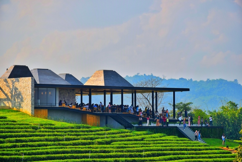 akha farmville, choui fong, singha park, กาดเจียงฮายรำลึก, ขุนน้ำนางนอน, คอฟฟี่ฮิลล์, จุดชมวิวดอยช้างมูบ, ช่องเขาขาด, ฐานปฏิบัติการดอยช้างมูบ, ดอยผาตั้ง, ดอยผาหมี, ดอยแม่สลอง, ตลาดแม่สาย, ตุงหลวงเฉลิมพระเกียรติ, ถนนคนเดินเชียงราย, ถ้ำหลวง ขุนน้ำนางนอน, ที่เที่ยวเชียงราย, ที่เที่ยวเชียงราย 2023, ที่เที่ยวเชียงราย 2566, ที่เที่ยวเชียงราย ธรรมชาติ, ที่เที่ยวเชียงราย ในเมือง, ที่เที่ยวเชียงรายใกล้ฉัน, ผาฮี้, พระธาตุดอยแม่ย่าม่อน, พระอุโบสถสีน้ำเงิน, พระโพธิสัตว์กวนอิมใหญ่ที่สุดในไทย, พิพิธภัณฑ์บ้านดำ, ฟาร์มแกะ ดอยช้าง, ภูชี้ดาว, ภูชี้ฟ้า, วัดป่าญะ, วัดพระธาตุดอยตุง, วัดพระธาตุแม่ย่าม่อน, วัดร่องขุ่น, วัดร่องเสือเต้น, วัดห้วยปลากั้ง, สวนคุณปู่ life museum, สวนคุณปู่ เชียงราย, สะพานไม้ไผ่ไร่ผาฮี้, สามเหลี่ยมทองคำ, สิงห์ปาร์ค, หมู่บ้านกะเหรี่ยงคอยาว, หมู่บ้านชาวเขากะเหรี่ยงคอยาว, หมู่บ้านสันติคีรี, อนุสาวรีย์พ่อขุนเม็งรายมหาราช, อาข่า ฟาร์ม, เชียงราย, เชียงราย 2023, เชียงราย 2566, เชียงรายไนท์บาซาร์, เที่ยวเชียงราย, โชคธรรมเจดีย์ 9 ชั้น, ไร่ชาฉุยฟง, ไฮเดรนเยีย ดอยแม่มอญ, ไฮเดรนเยียซัง, top 25+ ที่เที่ยวเชียงราย [กรกฎาคม 2024] ไหว้พระ ชมธรรมชาติ สัมผัสวิถีชีวิตชาวเขา ที่ดินแดนเหนือสุดประเทศไทย