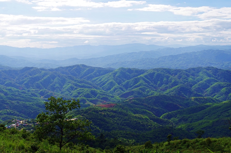 akha farmville, choui fong, singha park, กาดเจียงฮายรำลึก, ขุนน้ำนางนอน, คอฟฟี่ฮิลล์, จุดชมวิวดอยช้างมูบ, ช่องเขาขาด, ฐานปฏิบัติการดอยช้างมูบ, ดอยผาตั้ง, ดอยผาหมี, ดอยแม่สลอง, ตลาดแม่สาย, ตุงหลวงเฉลิมพระเกียรติ, ถนนคนเดินเชียงราย, ถ้ำหลวง ขุนน้ำนางนอน, ที่เที่ยวเชียงราย, ที่เที่ยวเชียงราย 2023, ที่เที่ยวเชียงราย 2566, ที่เที่ยวเชียงราย ธรรมชาติ, ที่เที่ยวเชียงราย ในเมือง, ที่เที่ยวเชียงรายใกล้ฉัน, ผาฮี้, พระธาตุดอยแม่ย่าม่อน, พระอุโบสถสีน้ำเงิน, พระโพธิสัตว์กวนอิมใหญ่ที่สุดในไทย, พิพิธภัณฑ์บ้านดำ, ฟาร์มแกะ ดอยช้าง, ภูชี้ดาว, ภูชี้ฟ้า, วัดป่าญะ, วัดพระธาตุดอยตุง, วัดพระธาตุแม่ย่าม่อน, วัดร่องขุ่น, วัดร่องเสือเต้น, วัดห้วยปลากั้ง, สวนคุณปู่ life museum, สวนคุณปู่ เชียงราย, สะพานไม้ไผ่ไร่ผาฮี้, สามเหลี่ยมทองคำ, สิงห์ปาร์ค, หมู่บ้านกะเหรี่ยงคอยาว, หมู่บ้านชาวเขากะเหรี่ยงคอยาว, หมู่บ้านสันติคีรี, อนุสาวรีย์พ่อขุนเม็งรายมหาราช, อาข่า ฟาร์ม, เชียงราย, เชียงราย 2023, เชียงราย 2566, เชียงรายไนท์บาซาร์, เที่ยวเชียงราย, โชคธรรมเจดีย์ 9 ชั้น, ไร่ชาฉุยฟง, ไฮเดรนเยีย ดอยแม่มอญ, ไฮเดรนเยียซัง, top 25+ ที่เที่ยวเชียงราย [กรกฎาคม 2024] ไหว้พระ ชมธรรมชาติ สัมผัสวิถีชีวิตชาวเขา ที่ดินแดนเหนือสุดประเทศไทย