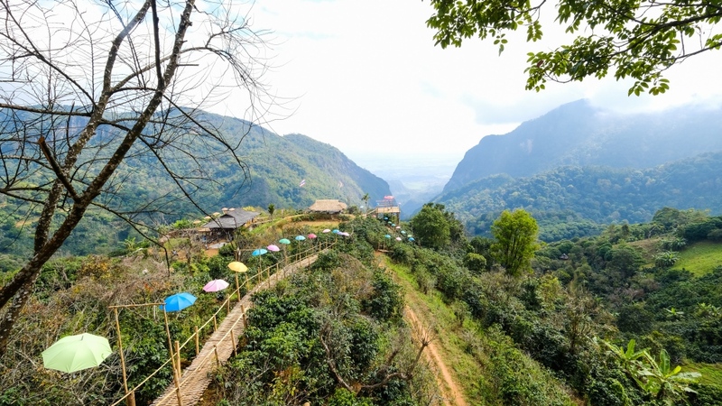 akha farmville, choui fong, singha park, กาดเจียงฮายรำลึก, ขุนน้ำนางนอน, คอฟฟี่ฮิลล์, จุดชมวิวดอยช้างมูบ, ช่องเขาขาด, ฐานปฏิบัติการดอยช้างมูบ, ดอยผาตั้ง, ดอยผาหมี, ดอยแม่สลอง, ตลาดแม่สาย, ตุงหลวงเฉลิมพระเกียรติ, ถนนคนเดินเชียงราย, ถ้ำหลวง ขุนน้ำนางนอน, ที่เที่ยวเชียงราย, ที่เที่ยวเชียงราย 2023, ที่เที่ยวเชียงราย 2566, ที่เที่ยวเชียงราย ธรรมชาติ, ที่เที่ยวเชียงราย ในเมือง, ที่เที่ยวเชียงรายใกล้ฉัน, ผาฮี้, พระธาตุดอยแม่ย่าม่อน, พระอุโบสถสีน้ำเงิน, พระโพธิสัตว์กวนอิมใหญ่ที่สุดในไทย, พิพิธภัณฑ์บ้านดำ, ฟาร์มแกะ ดอยช้าง, ภูชี้ดาว, ภูชี้ฟ้า, วัดป่าญะ, วัดพระธาตุดอยตุง, วัดพระธาตุแม่ย่าม่อน, วัดร่องขุ่น, วัดร่องเสือเต้น, วัดห้วยปลากั้ง, สวนคุณปู่ life museum, สวนคุณปู่ เชียงราย, สะพานไม้ไผ่ไร่ผาฮี้, สามเหลี่ยมทองคำ, สิงห์ปาร์ค, หมู่บ้านกะเหรี่ยงคอยาว, หมู่บ้านชาวเขากะเหรี่ยงคอยาว, หมู่บ้านสันติคีรี, อนุสาวรีย์พ่อขุนเม็งรายมหาราช, อาข่า ฟาร์ม, เชียงราย, เชียงราย 2023, เชียงราย 2566, เชียงรายไนท์บาซาร์, เที่ยวเชียงราย, โชคธรรมเจดีย์ 9 ชั้น, ไร่ชาฉุยฟง, ไฮเดรนเยีย ดอยแม่มอญ, ไฮเดรนเยียซัง, top 25+ ที่เที่ยวเชียงราย [กรกฎาคม 2024] ไหว้พระ ชมธรรมชาติ สัมผัสวิถีชีวิตชาวเขา ที่ดินแดนเหนือสุดประเทศไทย