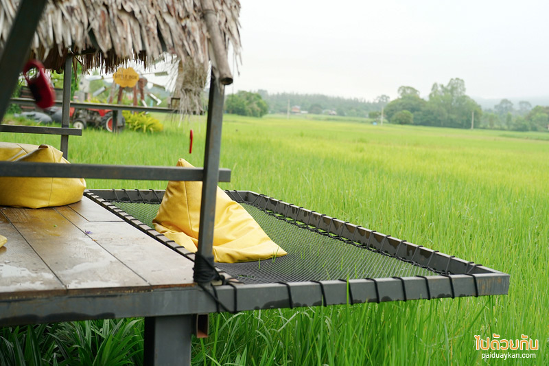 คาเฟ่ขอนแก่น, little box ขอนแก่น, little box ขอนแก่น คาเฟ่และที่พักสุดชิค มุมถ่ายรูปเพียบ