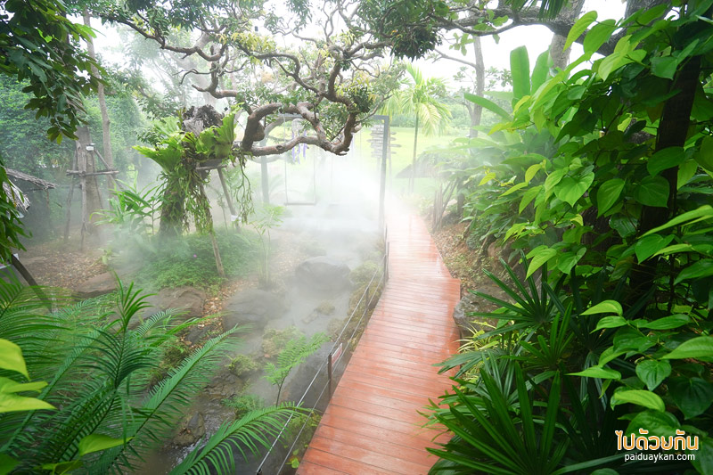 คาเฟ่ขอนแก่น, little box ขอนแก่น, little box ขอนแก่น คาเฟ่และที่พักสุดชิค มุมถ่ายรูปเพียบ