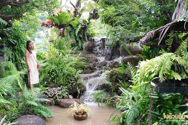 คาเฟ่ขอนแก่น, little box ขอนแก่น, little box ขอนแก่น คาเฟ่และที่พักสุดชิค มุมถ่ายรูปเพียบ