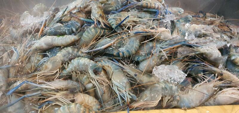 รวมร้านบุฟเฟ่ต์ สงขลา ชี้พิกัดร้านบุฟเฟ่ต์สุดคุ้มทั้งปิ้งย่าง ชาบู ทะเลเผา และอาหารญี่ปุ่น!