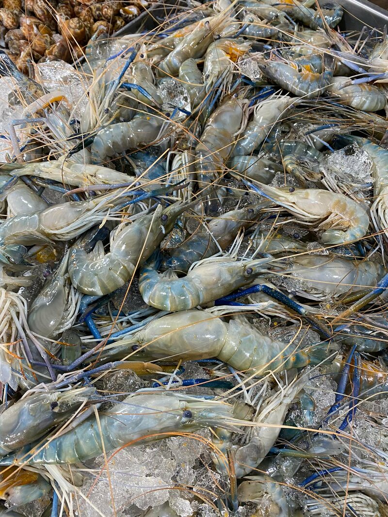 รวมร้านบุฟเฟ่ต์ สงขลา ชี้พิกัดร้านบุฟเฟ่ต์สุดคุ้มทั้งปิ้งย่าง ชาบู ทะเลเผา และอาหารญี่ปุ่น!