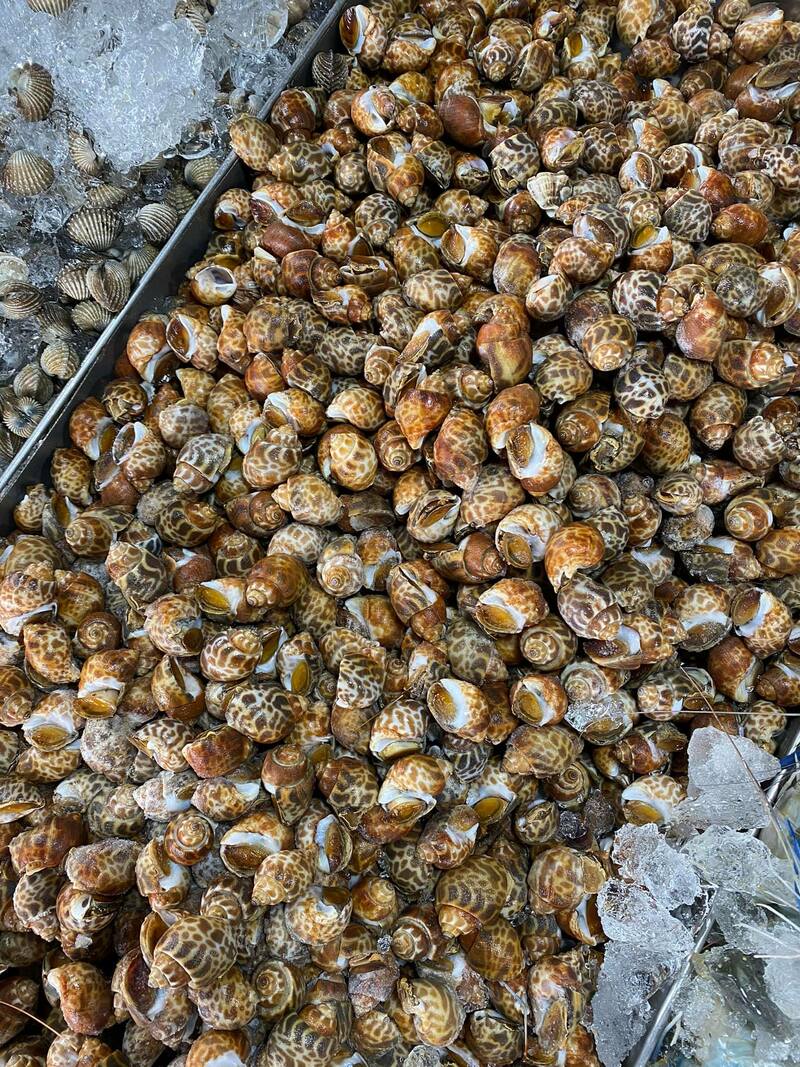 รวมร้านบุฟเฟ่ต์ สงขลา ชี้พิกัดร้านบุฟเฟ่ต์สุดคุ้มทั้งปิ้งย่าง ชาบู ทะเลเผา และอาหารญี่ปุ่น!