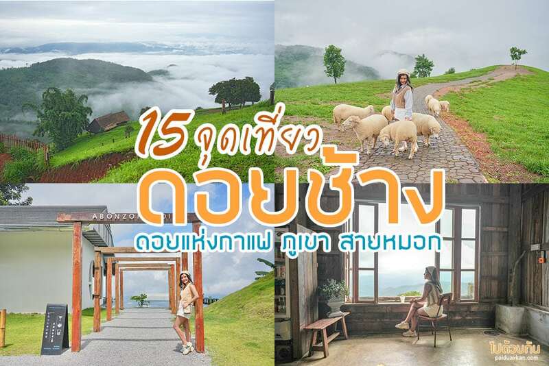 ร้านกาแฟดอยช้าง, คาเฟ่ดอยช้าง, ดอยช้าง, เที่ยวดอยช้าง, ดอยช้าง 2024  อัพเดท 15 ที่เที่ยว เส้นทางสายกาแฟ สู่ขุนเขาและสายหมอก