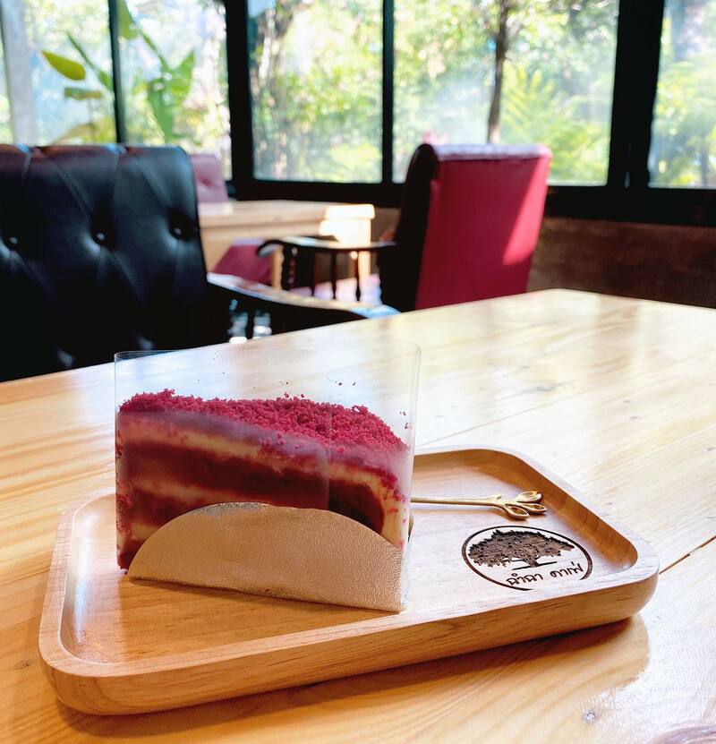 คาเฟ่พิจิตร วิวสวยได้สัมผัสธรรมชาติแบบเต็มปอด