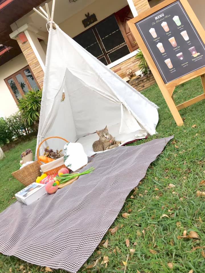 คาเฟ่พิจิตร วิวสวยได้สัมผัสธรรมชาติแบบเต็มปอด