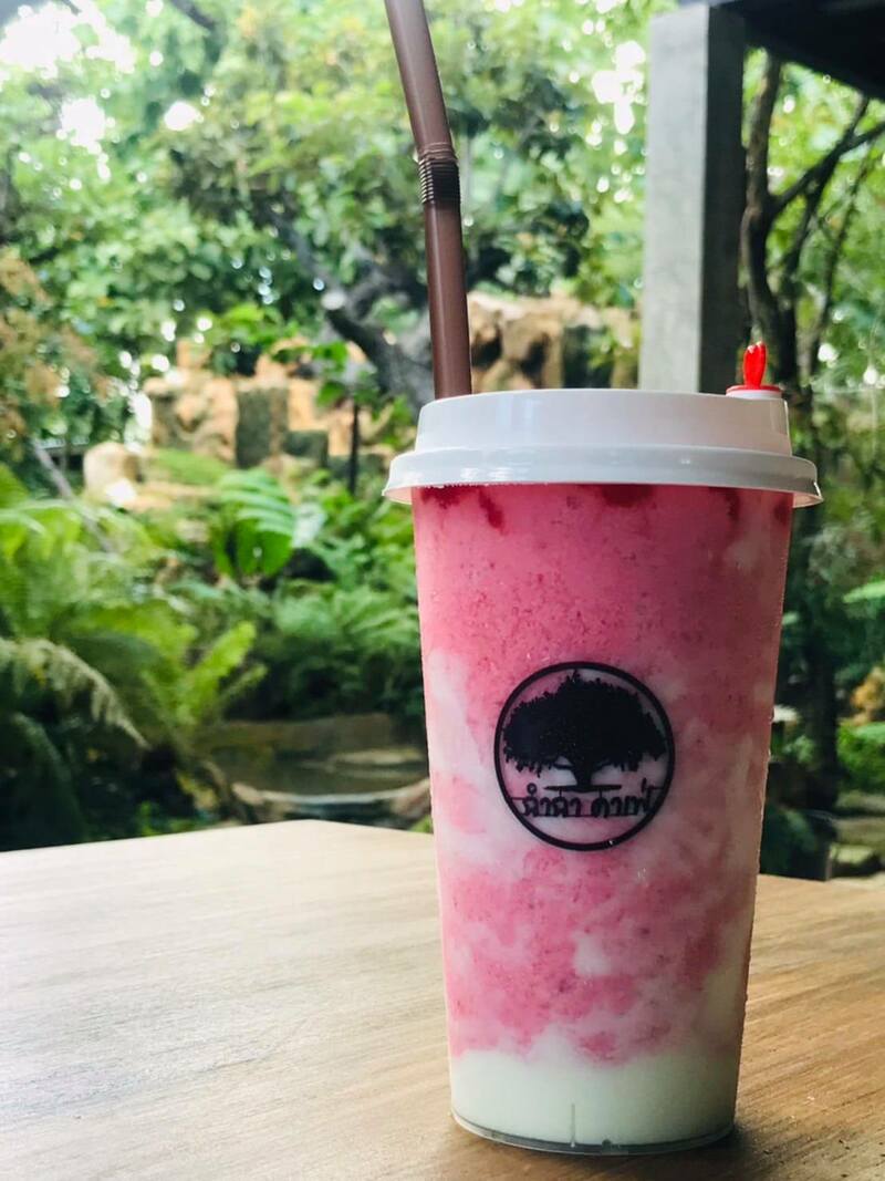 คาเฟ่พิจิตร วิวสวยได้สัมผัสธรรมชาติแบบเต็มปอด