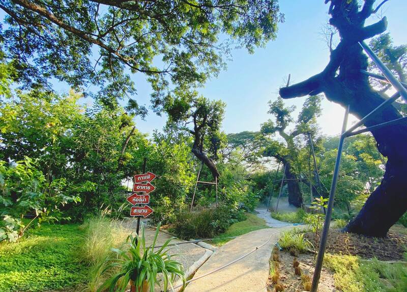 คาเฟ่พิจิตร วิวสวยได้สัมผัสธรรมชาติแบบเต็มปอด