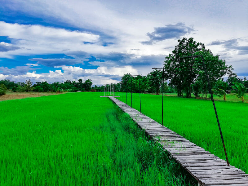 คาเฟ่พิจิตร วิวสวยได้สัมผัสธรรมชาติแบบเต็มปอด