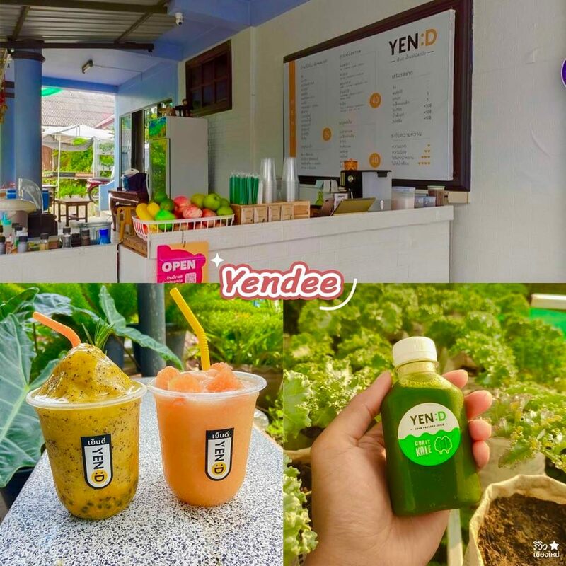 fresh cafe, love lady fruit, me coconut, pan la mun, smoothies drink healthy สาขานิมมาน, smoothies factory, vitamin bar หลังมอ, yendee, น้ำผลไม้ปั่น เชียงใหม่, ร้าน น้ำปั่น, ร้าน สมูทตี้, สมูทตี้พี่แพรว, 9 ร้าน น้ำปั่น สมูทตี้ ที่เชียงใหม่ ผลไม้ฉ่ำๆ อร่อยชื่นใจ