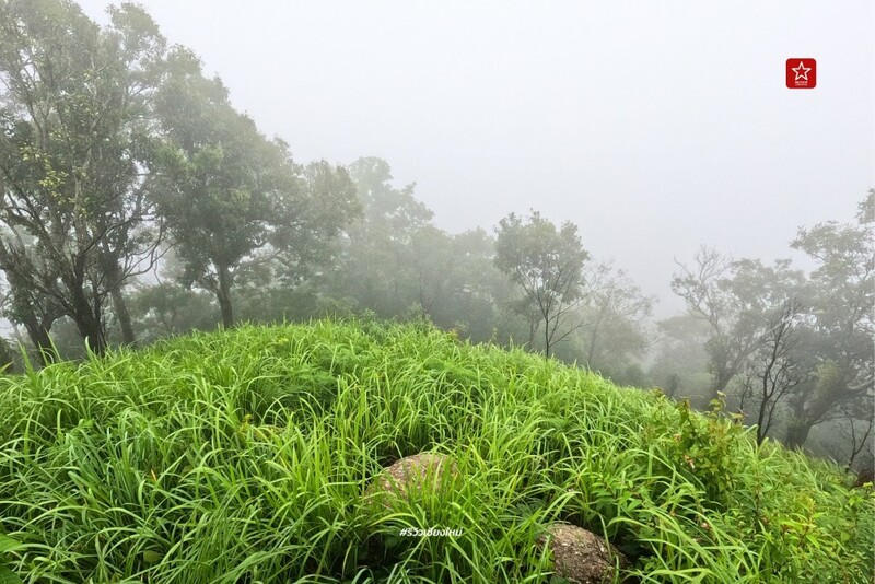 ดอยขุนตาล, นั่งรถไฟเที่ยว, นั่งรถไฟไปขุนตาน, อุโมงค์ขุนตาน, เดินป่า, เดินป่า หน้าฝน, นั่งรถไฟไป เดินป่าหน้าฝน ขึ้นยอด ย.4 ดอยขุนตาน