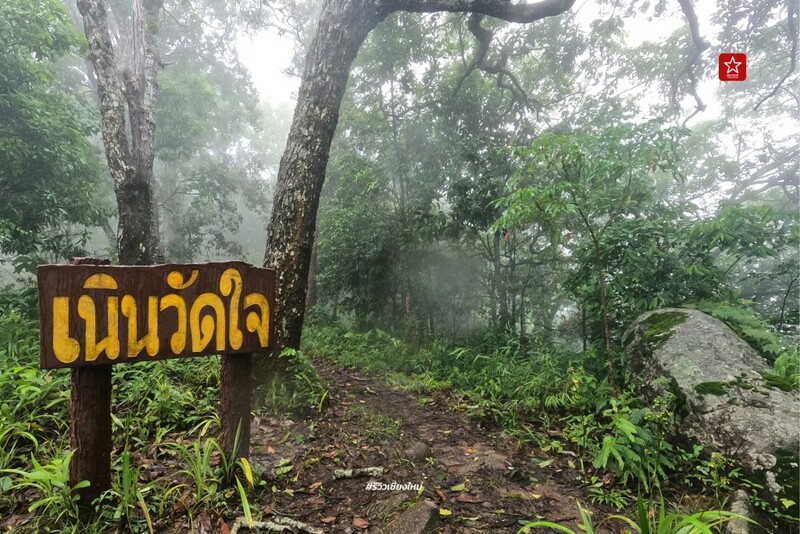 ดอยขุนตาล, นั่งรถไฟเที่ยว, นั่งรถไฟไปขุนตาน, อุโมงค์ขุนตาน, เดินป่า, เดินป่า หน้าฝน, นั่งรถไฟไป เดินป่าหน้าฝน ขึ้นยอด ย.4 ดอยขุนตาน