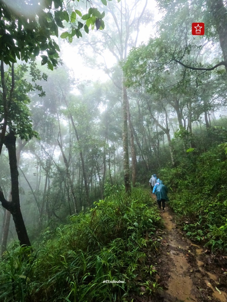 ดอยขุนตาล, นั่งรถไฟเที่ยว, นั่งรถไฟไปขุนตาน, อุโมงค์ขุนตาน, เดินป่า, เดินป่า หน้าฝน, นั่งรถไฟไป เดินป่าหน้าฝน ขึ้นยอด ย.4 ดอยขุนตาน