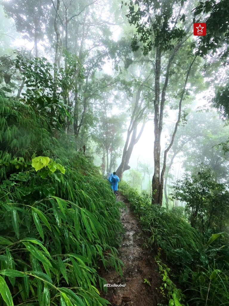 ดอยขุนตาล, นั่งรถไฟเที่ยว, นั่งรถไฟไปขุนตาน, อุโมงค์ขุนตาน, เดินป่า, เดินป่า หน้าฝน, นั่งรถไฟไป เดินป่าหน้าฝน ขึ้นยอด ย.4 ดอยขุนตาน