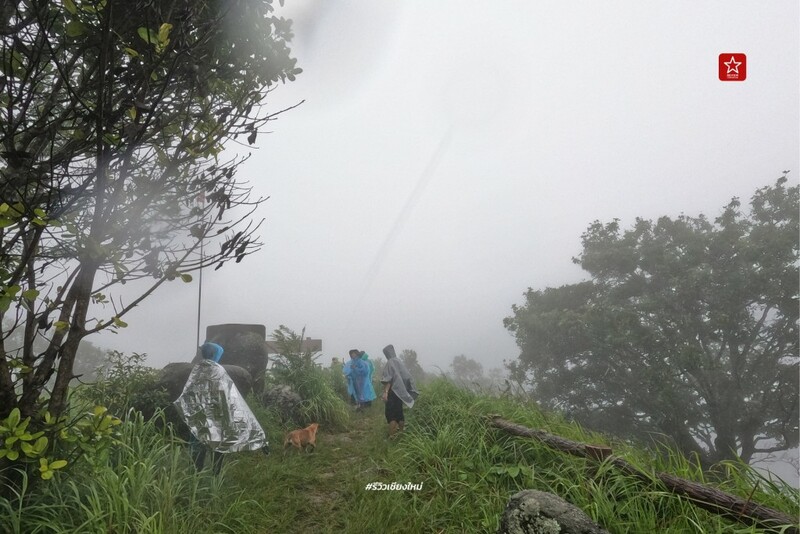 ดอยขุนตาล, นั่งรถไฟเที่ยว, นั่งรถไฟไปขุนตาน, อุโมงค์ขุนตาน, เดินป่า, เดินป่า หน้าฝน, นั่งรถไฟไป เดินป่าหน้าฝน ขึ้นยอด ย.4 ดอยขุนตาน
