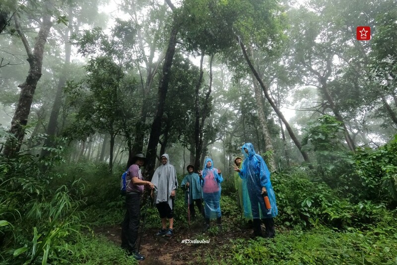 ดอยขุนตาล, นั่งรถไฟเที่ยว, นั่งรถไฟไปขุนตาน, อุโมงค์ขุนตาน, เดินป่า, เดินป่า หน้าฝน, นั่งรถไฟไป เดินป่าหน้าฝน ขึ้นยอด ย.4 ดอยขุนตาน