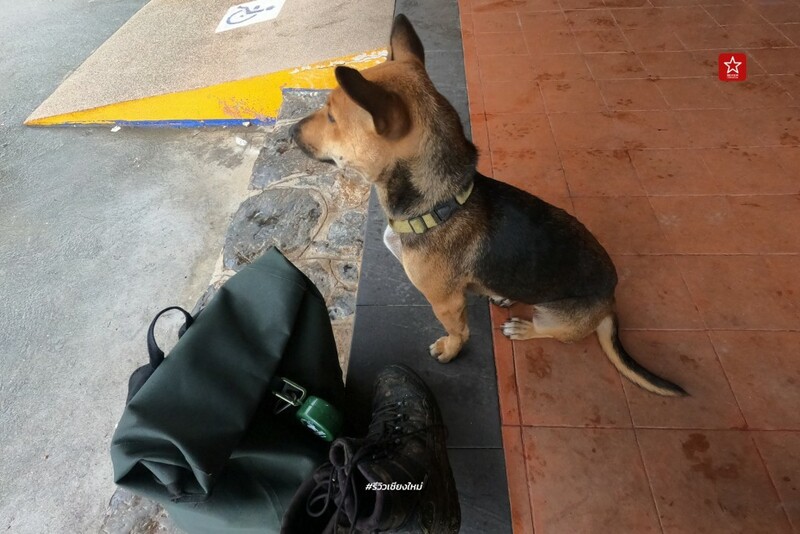 ดอยขุนตาล, นั่งรถไฟเที่ยว, นั่งรถไฟไปขุนตาน, อุโมงค์ขุนตาน, เดินป่า, เดินป่า หน้าฝน, นั่งรถไฟไป เดินป่าหน้าฝน ขึ้นยอด ย.4 ดอยขุนตาน