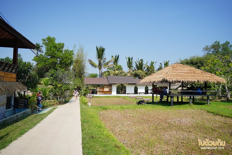 ร้านกาแฟวังน้ำเขียว, วังน้ำเขียว, โรงคั่วกาแฟ วังน้ำเขียว, โรงคั่วกาแฟ วังน้ำเขียว จิบกาแฟชมวิวริมน้ำ