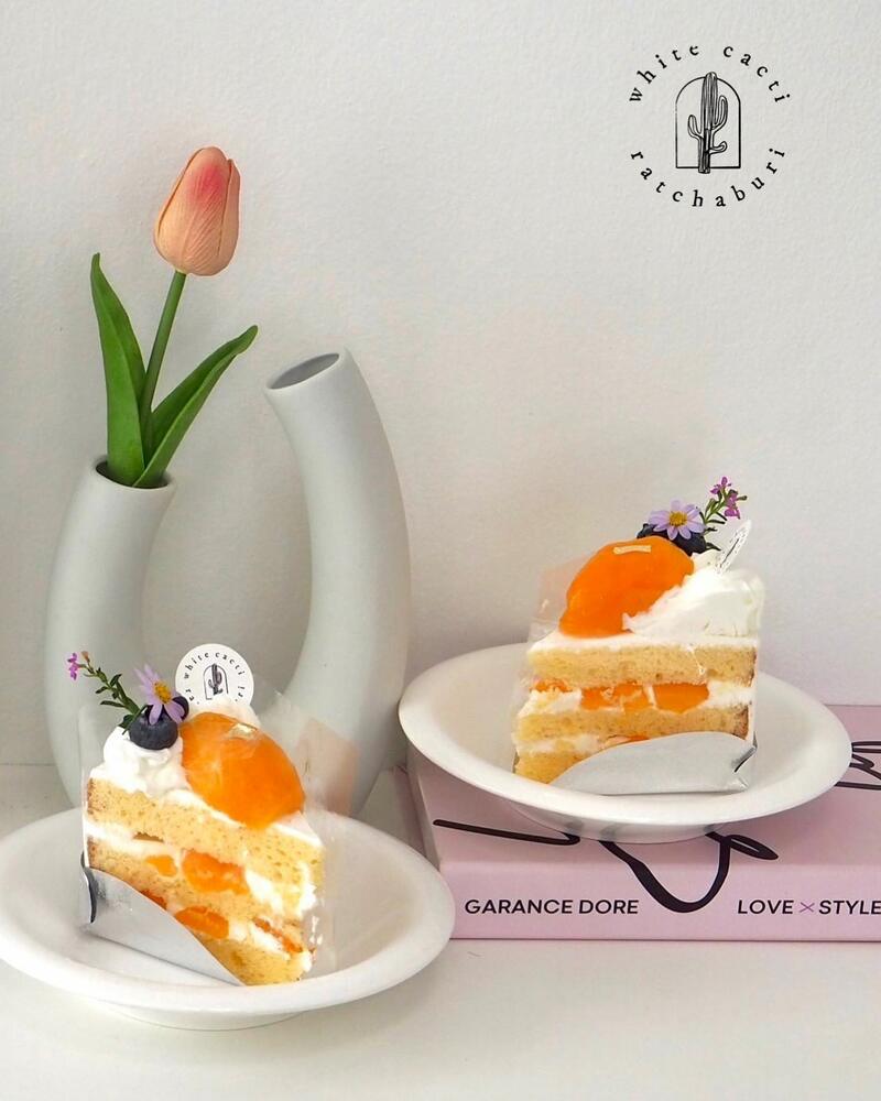 top 16+ คาเฟ่ราชบุรี บรรยากาศชิคๆ น่าเช็คอินในวันหยุด