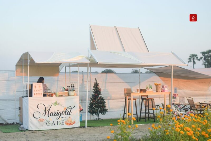 marigoldbeblessfarm, reviewchiangmai, คาเฟ่เชียงใหม่, ดอกดาวเรืองเชียงใหม่, ที่เที่ยวเชียงใหม่, บอลลูนเชียงใหม่, รีวิวเชียงใหม่, สวนดอกไม้เชียงใหม่, หางดง, ดอกดาวเรืองเชียงใหม่ ฟาร์มสุดสวย ไม่ต้องไปที่ไหนไกลแล้ว