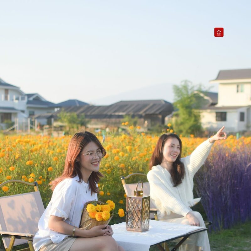 marigoldbeblessfarm, reviewchiangmai, คาเฟ่เชียงใหม่, ดอกดาวเรืองเชียงใหม่, ที่เที่ยวเชียงใหม่, บอลลูนเชียงใหม่, รีวิวเชียงใหม่, สวนดอกไม้เชียงใหม่, หางดง, ดอกดาวเรืองเชียงใหม่ ฟาร์มสุดสวย ไม่ต้องไปที่ไหนไกลแล้ว