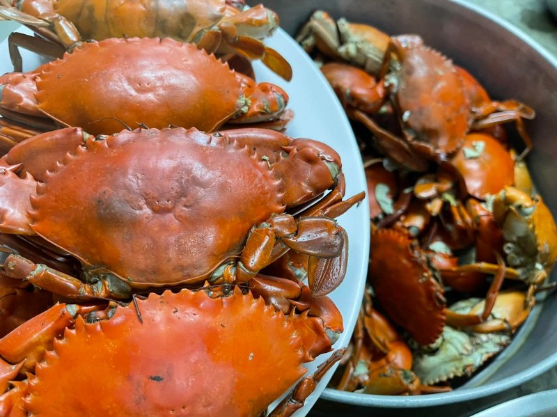 top 12+ โฮมสเตย์จันทบุรีเปิดใหม่ พร้อมอาหาร บุฟเฟ่ต์ซีฟู้ด ติดริมน้ำ ล่องแพ กิจกรรมสุดมัน