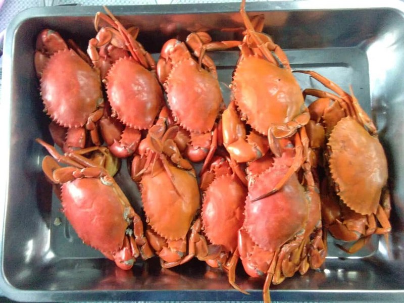 top 12+ โฮมสเตย์จันทบุรีเปิดใหม่ พร้อมอาหาร บุฟเฟ่ต์ซีฟู้ด ติดริมน้ำ ล่องแพ กิจกรรมสุดมัน