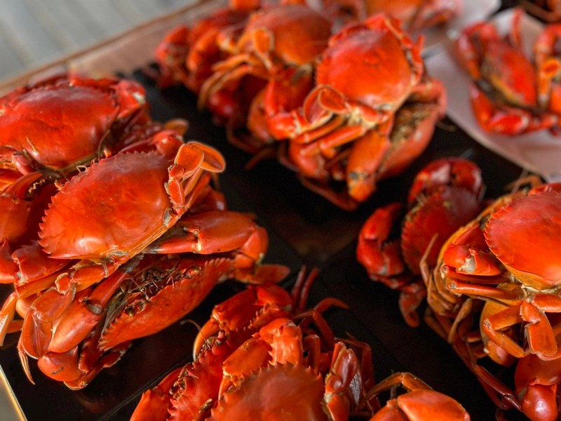 top 12+ โฮมสเตย์จันทบุรีเปิดใหม่ พร้อมอาหาร บุฟเฟ่ต์ซีฟู้ด ติดริมน้ำ ล่องแพ กิจกรรมสุดมัน