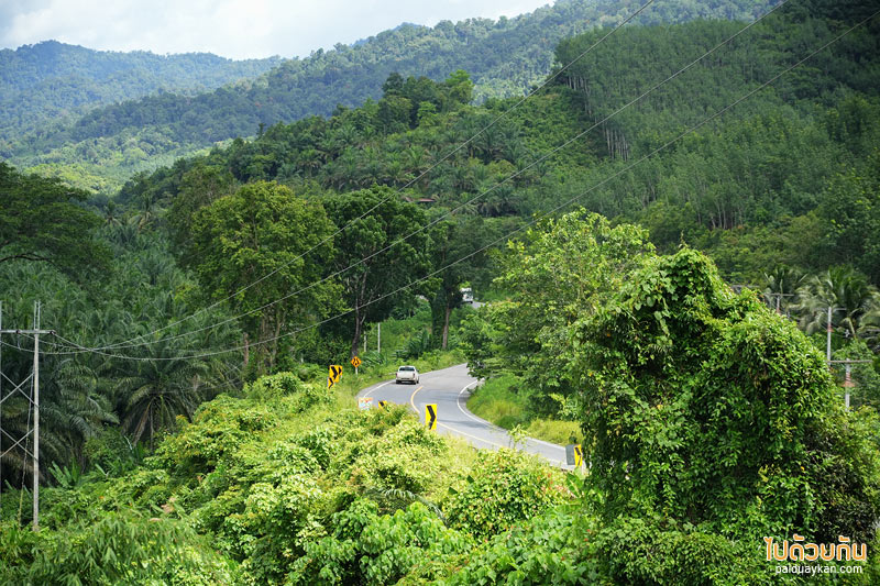 คาเฟ่เขาสก, kyojin beans and spirits, เคียวจิน คาเฟ่, คาเฟ่ญี่ปุ่นเขาสก, kyojin เคียวจินคาเฟ่ ยกญี่ปุ่น มาไว้ที่เขาสก