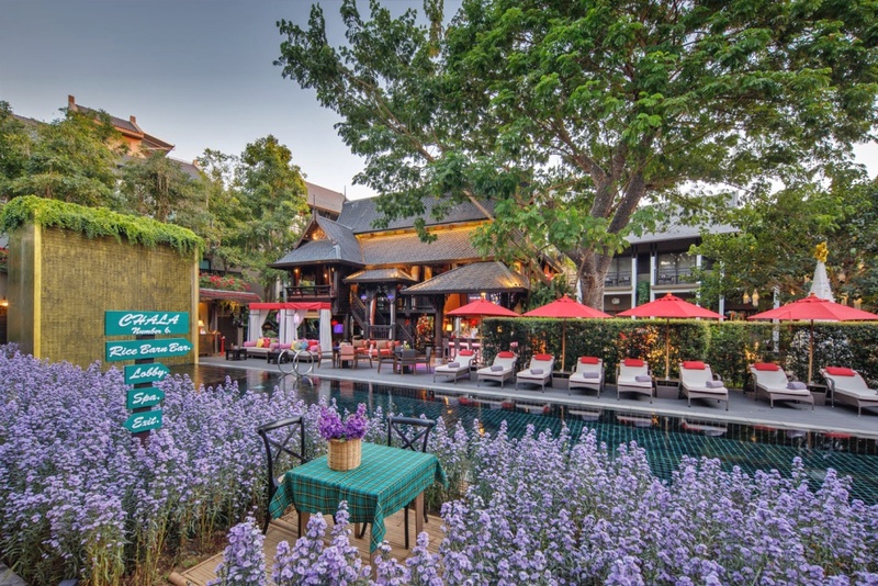 33 poshtel, 9.5 hotel, 9.5 เชียงใหม่, arch39.17 nimman, buchita nimman, chiang mai chaiyo hotel, eastin tan hotel chiang mai, l nimman boutique hotel, mountscene at cervidae, nord studio, pastell oldtown, prestige cm, the artel nimman hotel, the nimman hotel, ดิ อาร์เทล นิมมาน, ดิอาร์เทล นิมมาน, ที่พัก นิมมาน, ที่พักตัวเมืองเชียงใหม่ 2567, ที่พักนิมมาน, ที่พักนิมมาน 2024, ที่พักนิมมาน 2567, ที่พักนิมมานเหมินทร์, ที่พักนิมมานเหมินทร์ 2024, ที่พักนิมมานเหมินทร์ 2567, ที่พักสวย เชียงใหม่, ที่พักเชียงใหม่, ที่พักเชียงใหม่ 2024, ที่พักเชียงใหม่ 2567, ที่พักเชียงใหม่ ตัวเมือง, ที่พักเชียงใหม่ นิมมาน, ที่พักเชียงใหม่ แนะนำ, ที่พักเชียงใหม่ ในเมือง 2567, ที่พักเชียงใหม่ในเมือง, ที่พักเมืองเชียงใหม่ 2024, ที่พักเมืองเชียงใหม่ 2567, นอร์ด สตูดิโอ, นิมมาน ไหม, นิมมานไหม, บ้านเส-ลา เกสท์เฮาส์, บูชิตา นิมมาน, พาสเทล โอลด์ทาวน์, ฟีลนิมมาน, ลีฟแอนด์ลีฟสไตล์ โฮมสเตย์, สะแมนแตน โฮเทล, สเตย์ วิท นิมมาน เชียงใหม่, อาร์ค39.17 นิมมาน, อีสทิน ตัน โฮเต็ล เชียงใหม่, ฮ อ ม บูทีค โฮเทล, เดอะ นิมมาน โฮเต็ล, เดอะ รอดแมน โฮเทล, เดอะ ลอฟต์รูม, เดอะนิมมานโฮเทล, เดอะลอฟท์รูม นิมมาน, เบด นิมมาน, เพรสทีจ ซีเอ็ม, เมาน์ซีน แอท เซอร์วิเดอี, แอ่ว นิมมาน, โรงแรม 9.5, โรงแรมเชียงใหม่, โรงแรมเชียงใหม่ ไชโย, โรงแรมเดอะคอร์, โรงแรมแอท พิงค์นคร, โรงแรมในเชียงใหม่, โรงแรมในเมืองเชียงใหม่, โฮมเชียงใหม่, โฮเทล นัวร์, top 30+ ที่พัก ตัวเมืองเชียงใหม่ [กรกฎาคม 2024] จิบกาแฟ เดินเล่น ถ่ายรูป