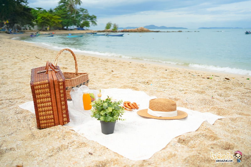 คาเฟ่พัทยา, pink salmon café, คาเฟ่ปิคนิคริมทะเล, pink salmon cafe ปิคนิคริมทะเล ทานของอร่อย แชะภาพสวย