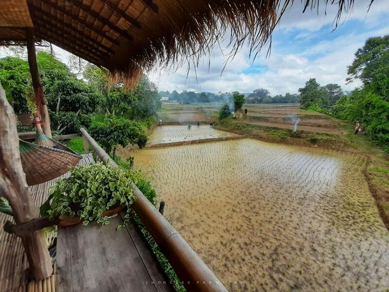 top 10+ ที่พักลำพูน 2567 เปิดใหม่ ในเมือง ราคาถูก โฮมสเตย์ วิวสวย ใกล้ถนนคนเดิน