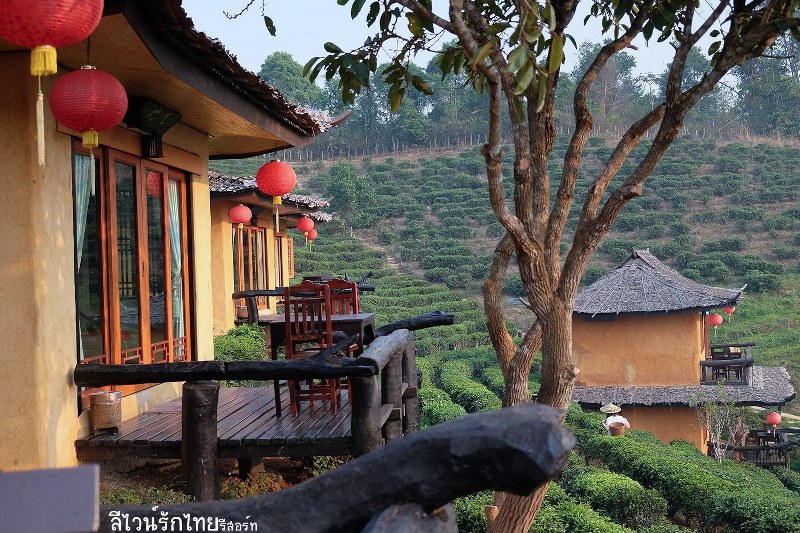 หมู่บ้านรักไทย ลีไวน์รักไทยรีสอร์ท จ.แม่ฮ่องสอน มนต์เสน่ห์เมืองจีนที่ไทย !!!
