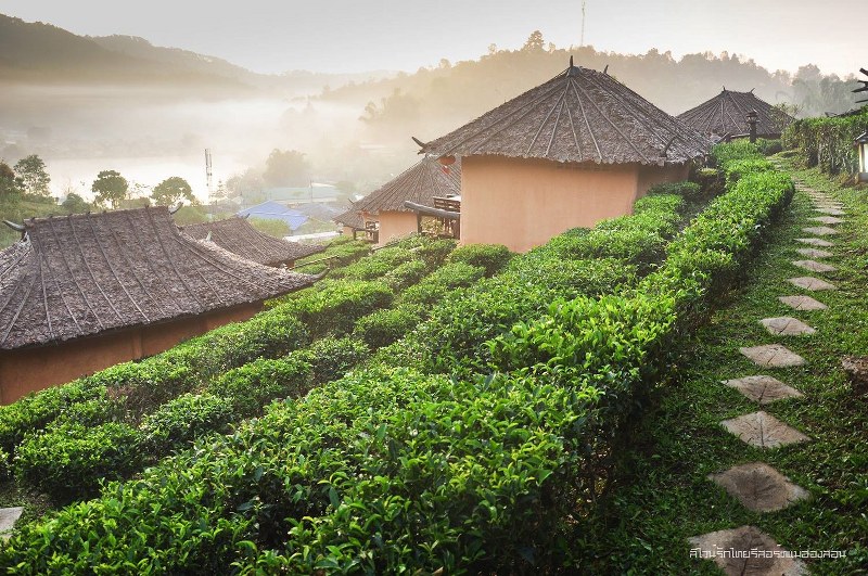 หมู่บ้านรักไทย ลีไวน์รักไทยรีสอร์ท จ.แม่ฮ่องสอน มนต์เสน่ห์เมืองจีนที่ไทย !!!