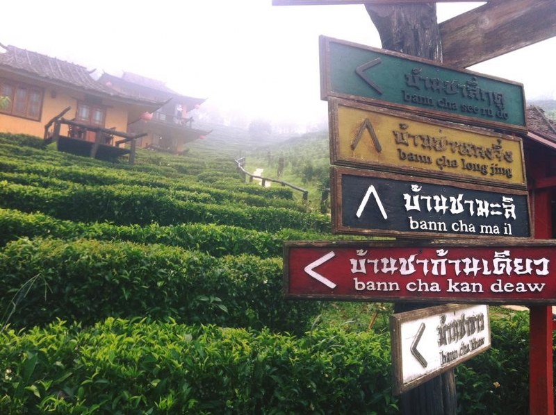 หมู่บ้านรักไทย ลีไวน์รักไทยรีสอร์ท จ.แม่ฮ่องสอน มนต์เสน่ห์เมืองจีนที่ไทย !!!