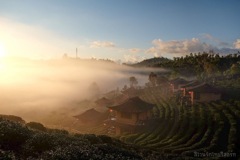 หมู่บ้านรักไทย ลีไวน์รักไทยรีสอร์ท จ.แม่ฮ่องสอน มนต์เสน่ห์เมืองจีนที่ไทย !!!