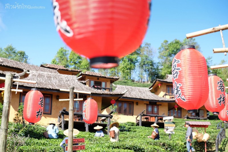 หมู่บ้านรักไทย ลีไวน์รักไทยรีสอร์ท จ.แม่ฮ่องสอน มนต์เสน่ห์เมืองจีนที่ไทย !!!